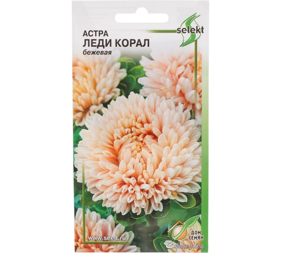 Астра Дом Семян Леди Коралл бежевая 42188 1