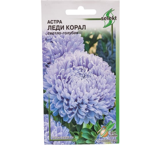 Астра Дом Семян Леди Коралл голубая 42192