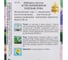 Астра помпонная Дом Семян Голубая Луна 42124 4