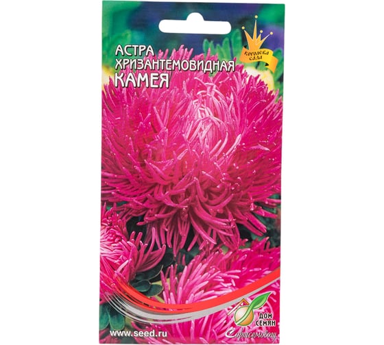 Астра хризантемовидная Дом Семян  Камея 42133 1