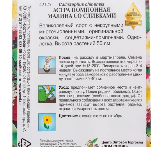 Астра помпонная Дом Семян Малина со сливками 42125