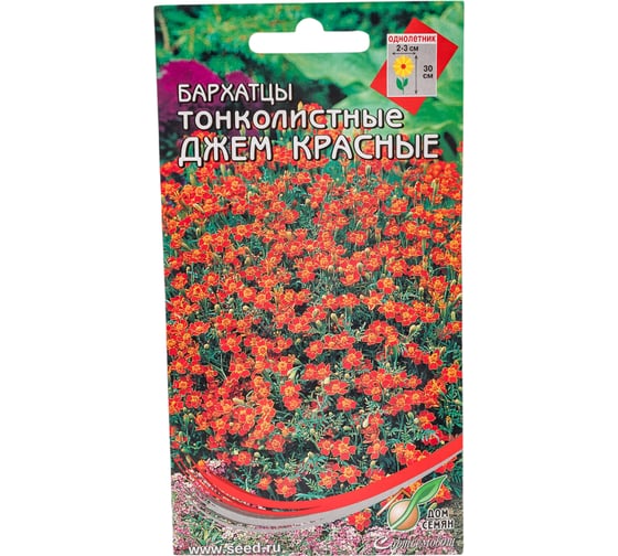 Бархатцы (тагетес) отклоненные тонколисттные Дом Семян Джем красные 42653 1