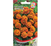 Бархатцы (тагетес) отклоненные Дом Семян Фиеста 42648