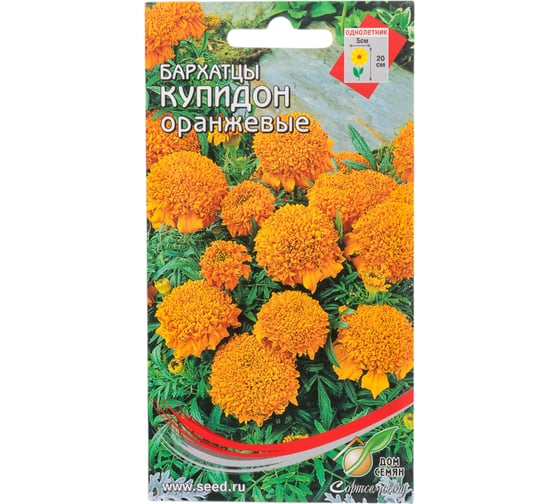Бархатцы (тагетес) прямостоячие Дом Семян Купидон оранжевые 42706 1