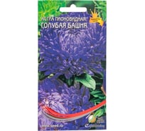 Астра пионовидная Дом Семян  Голубая Башня 42150