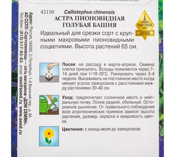 Астра пионовидная Дом Семян  Голубая Башня 42150