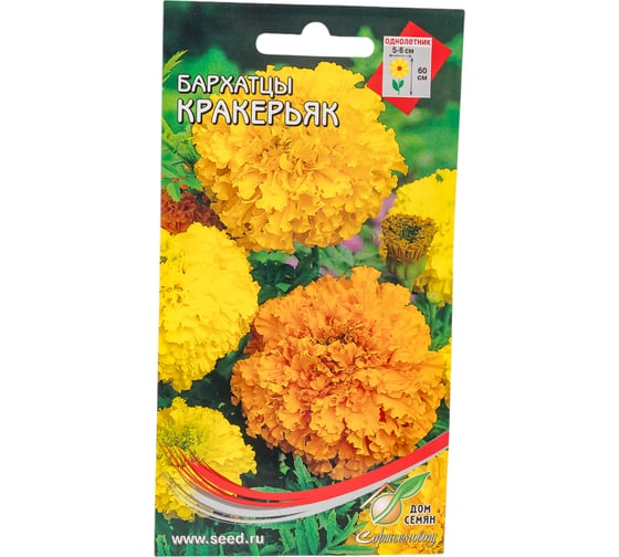 Бархатцы (тагетес) прямостоячие Дом Семян Кракерьяк 42700 1