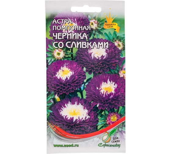 Астра помпонная Дом Семян Черника со сливками 42126 1