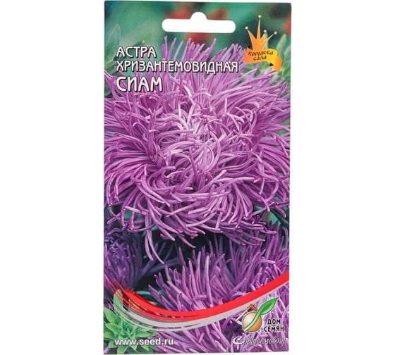 Астра хризантемовидная Дом Семян  Сиам 42138 1