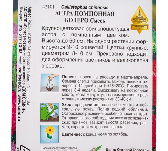 Астра помпонная Дом Семян Болеро 42101
