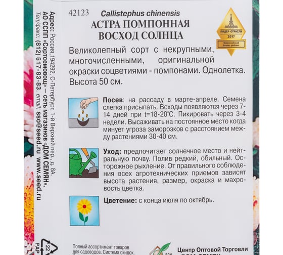 Астра помпонная Дом Семян Восход солнца 42123