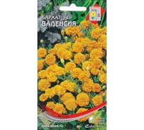 Бархатцы (тагетес) отклоненные Дом Семян Валенсия 42643