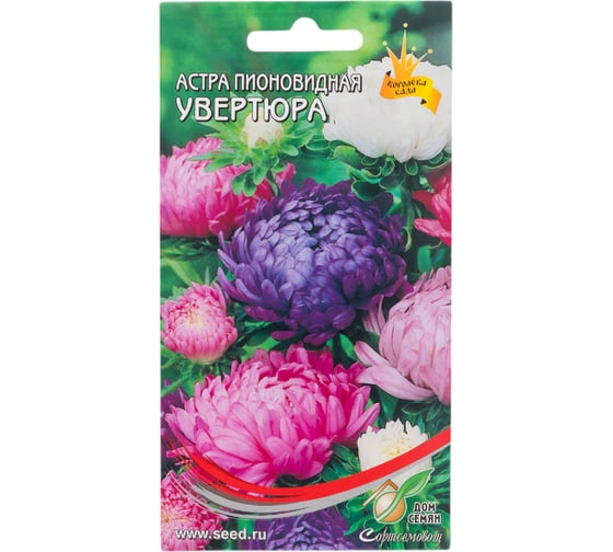 Астра пионовидная Дом Семян Увертюра смесь 42153 1