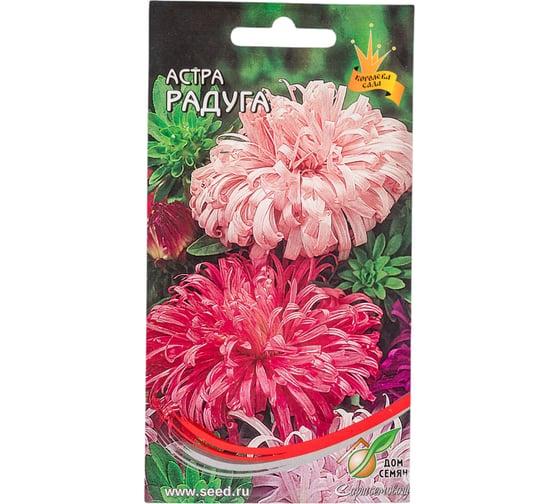 Астра Дом Семян Радуга смесь 42099 1