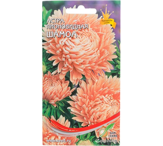 Астра пионовидная Дом Семян  Шамоа 42149 1