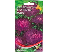 Астра пионовидная Дом Семян  Фиолетовая Башня 42147