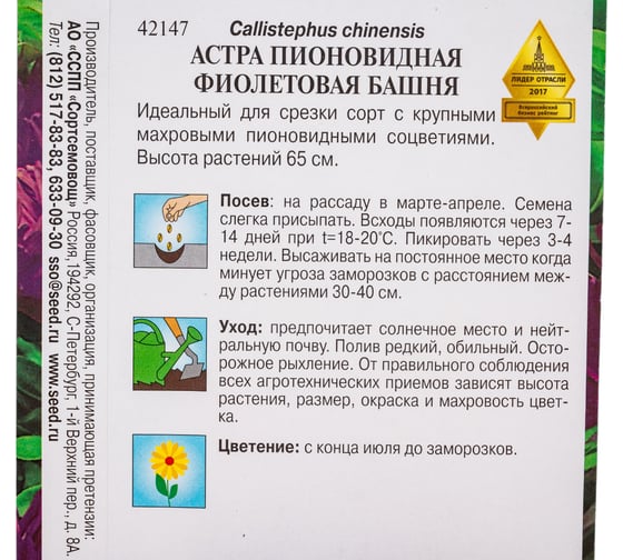 Астра пионовидная Дом Семян  Фиолетовая Башня 42147