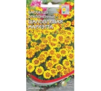 Бархатцы (тагетес) отклоненные Дом Семян Шаловливая Мариэтта 42636