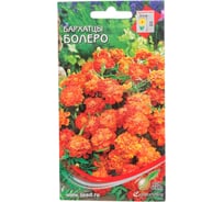 Бархатцы (тагетес) отклоненные Дом Семян Болеро 42642