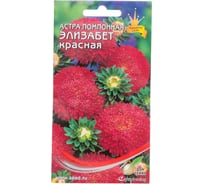 Астра помпонная Дом Семян Элизабет красная 42121