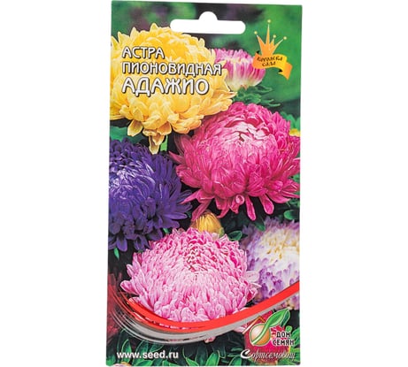 Астра пионовидная Дом Семян  Адажио смесь 42154