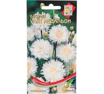 Василёк Дом Семян Уайт Медальон 43106