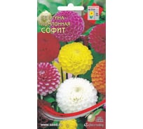 Георгина Дом Семян помпонная Софит 44204