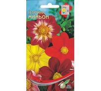 Георгина Дом Семян Миньон (смесь) 44201