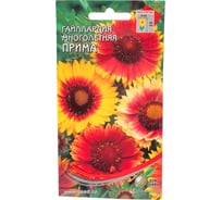 Гайлардия Дом Семян Прима мног. 43701