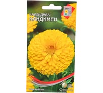 Календула Дом Семян Кандимен 46215