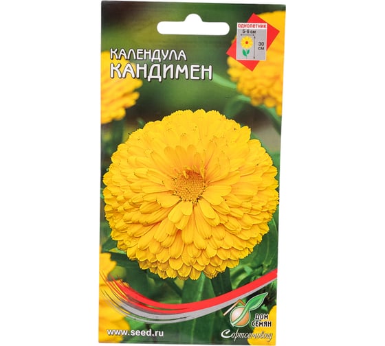 Календула Дом Семян Кандимен 46215 1
