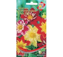 Георгина Дом Семян воротничковая Тип-Топ 44202