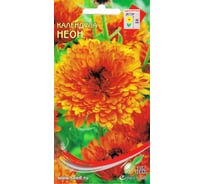 Календула Дом Семян Неон 46217