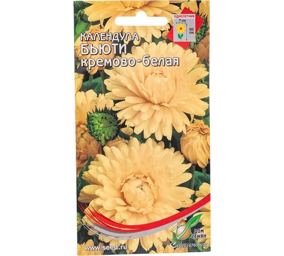 Календула Дом Семян Бьюти кремово-белая 46208 1