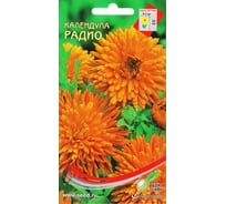 Календула Дом Семян Радио 46204