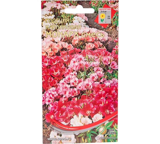 Годеция карликовая Дом Семян Монарх смесь 44803 1