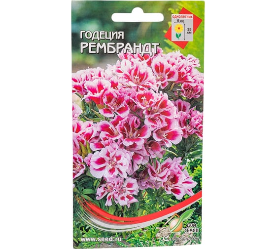 Годеция Дом Семян  Рембрандт 44804 1