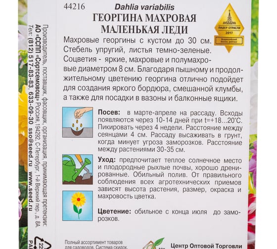 Георгина махровая Дом Семян Маленькая Леди 44216
