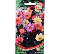 Георгина Дом Семян Вотан 44199