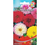 Георгина Дом Семян Декоративная 44205