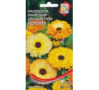 Календула Дом Семян Корнич 46206