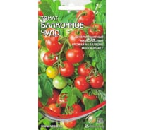 Томат Дом Семян Балконное Чудо 16510