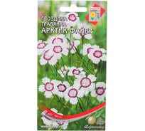 Гвоздика травянка Дом Семян Арктик Фаер (многол.) 44042