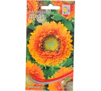 Календула Дом Семян Денди 46209
