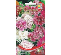 Гвоздика перистая махровая Дом Семян Соната (многол.) 44040