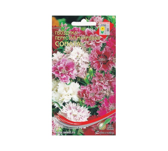 Гвоздика перистая махровая Дом Семян Соната (многол.) 44040