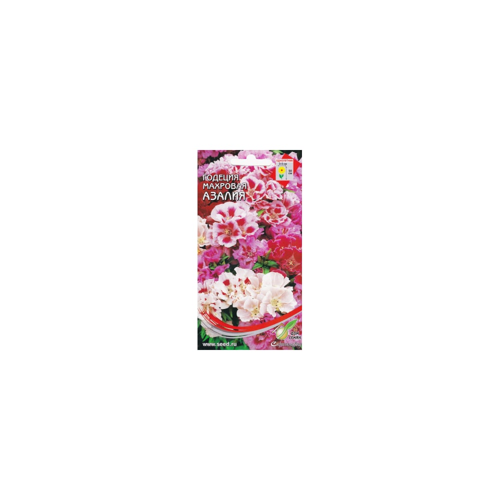 Годеция Дом Семян Азалия, махровая 44801 - выгодная цена, отзывы ...
