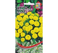 Бархатцы (тагетес) отклоненные Дом Семян Лимонная Капля 42641