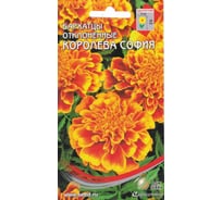 Бархатцы (тагетес) отклоненные Дом Семян Королева София 42639
