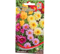 Георгина Дом Семян Каледония 44213
